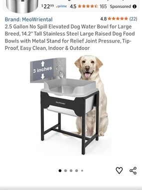 Elevated Dog Water Bowl – Gray & Black